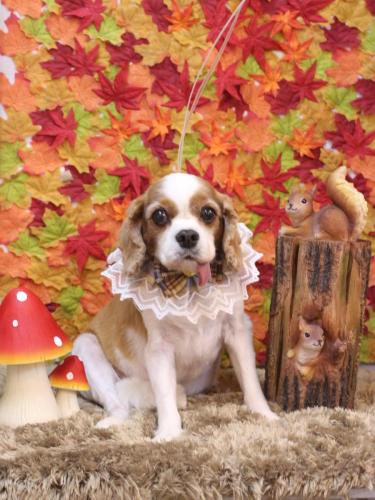 20241102ゲンキくん